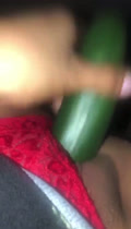 PECLETO Cepino