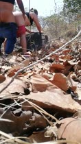 Un rico polvo de campo abierto 2